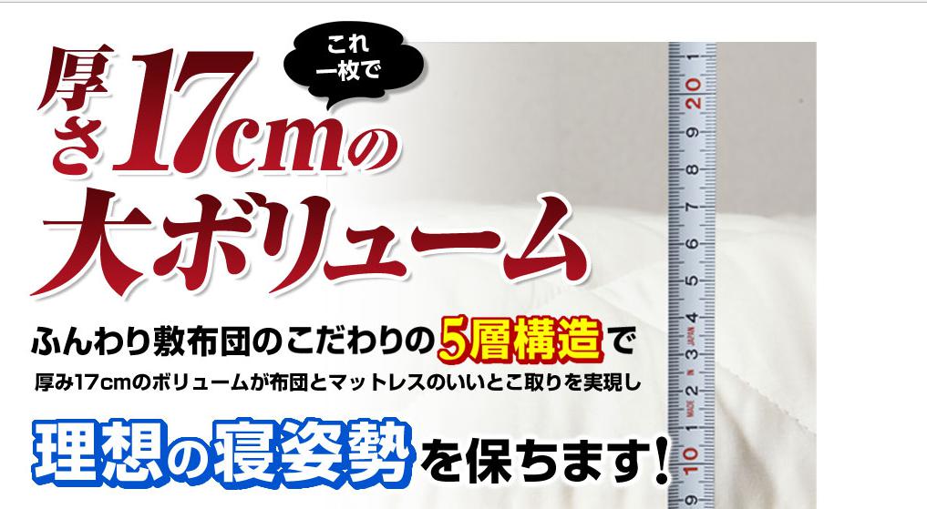 17cm̑{[